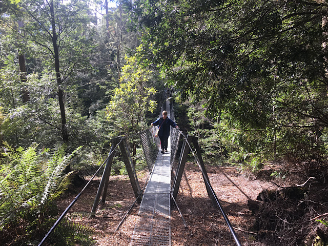 Meander River Suspension