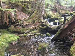 Meander Valley Small